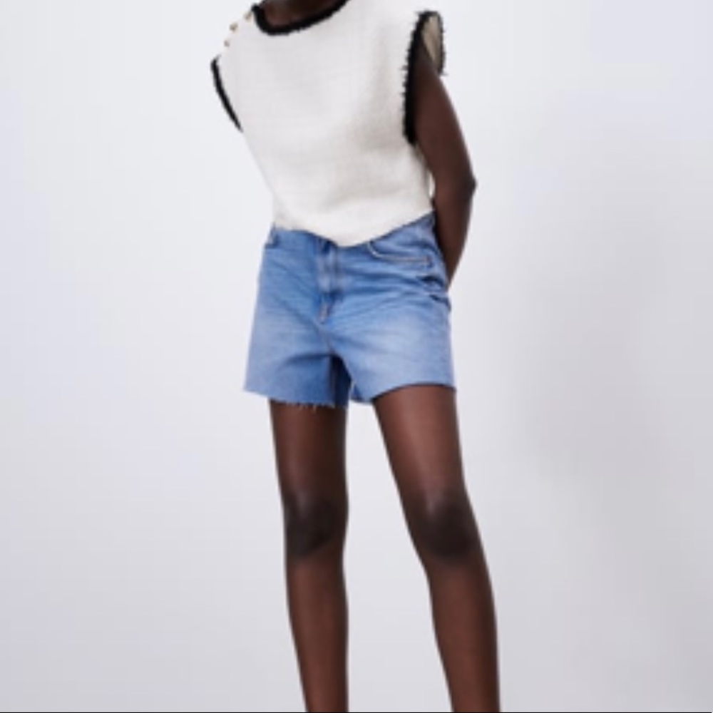 Zara beige and black top